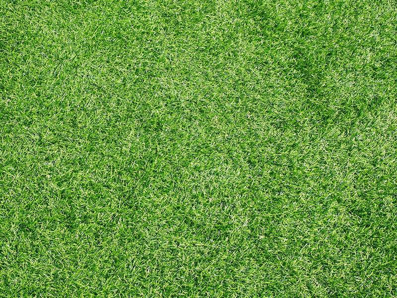 Turf Flooring