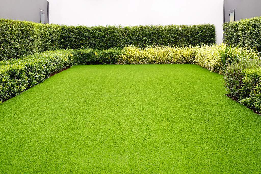 Grass field meadow green on the garden front of the house.