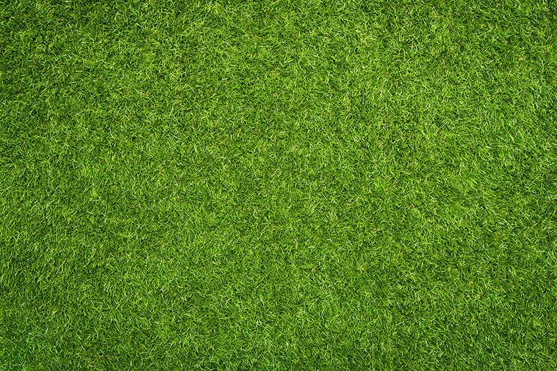 Turf Flooring