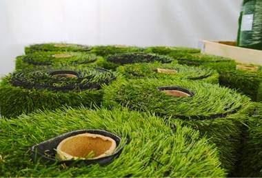 Turf